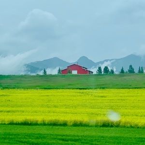 Meet your Posher, Sandy